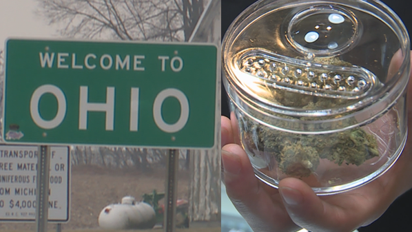 Do Fake Ids Work At Dispensaries In Michigan